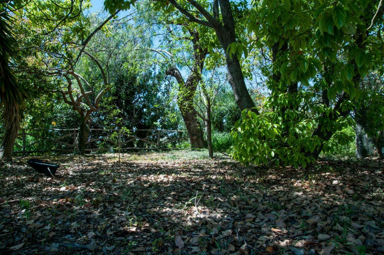 Antico Borgo Etneo Agriturismo Villa Calatabiano Buitenkant foto